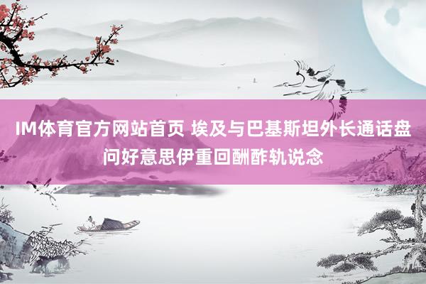 IM体育官方网站首页 埃及与巴基斯坦外长通话盘问好意思伊重回酬酢轨说念
